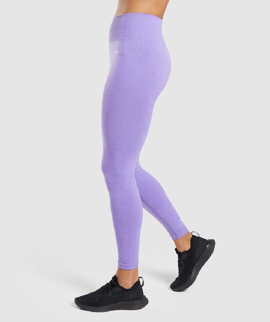 Legginsy Damskie Gymshark Vital Seamless 2.0 Głęboka Fioletowe | PL 2215LIS